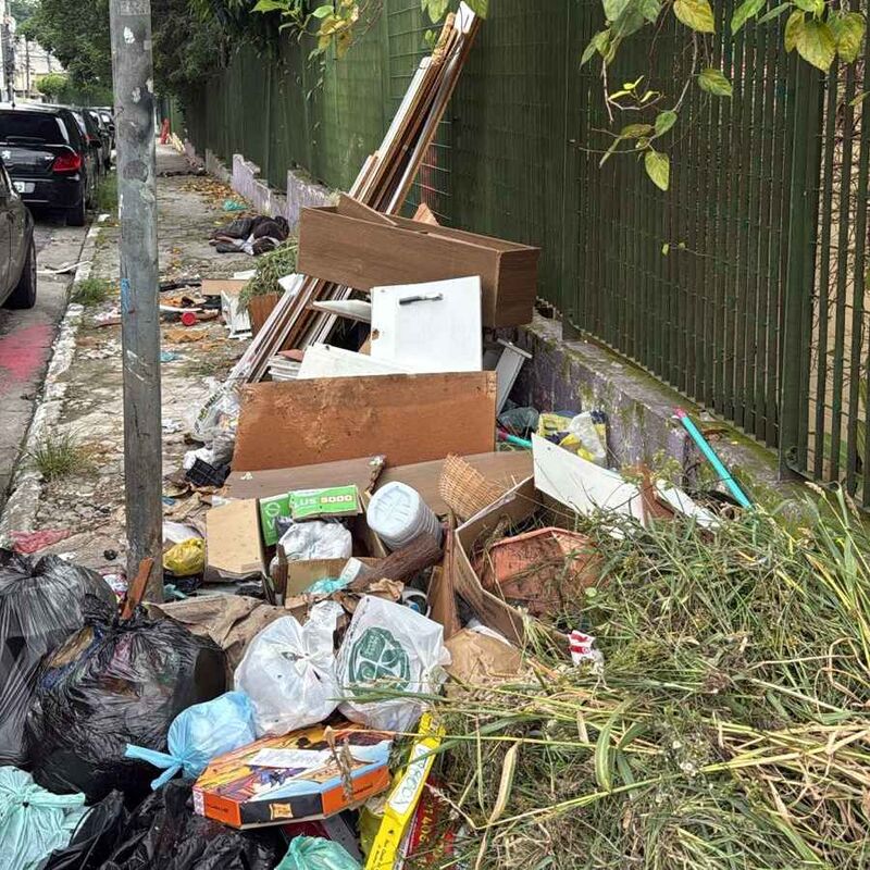 Imagem da publicação