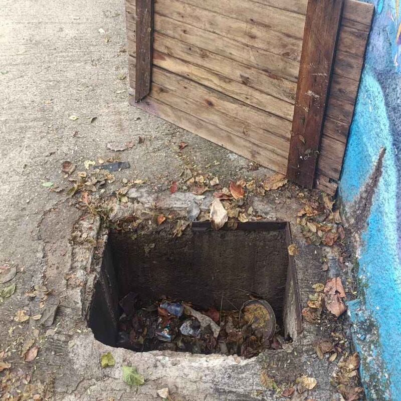 Imagem da publicação