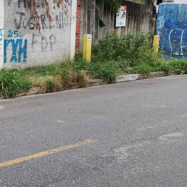 Imagem da publicação