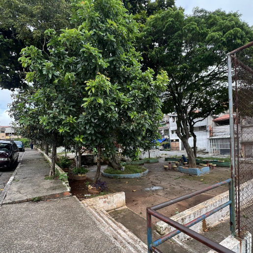 Imagem da publicação