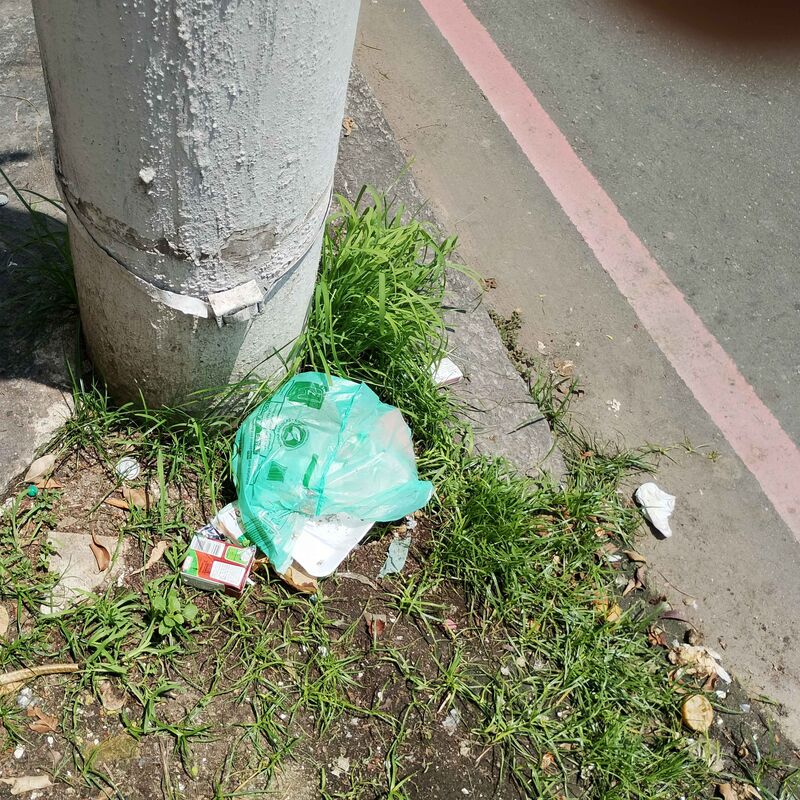 Imagem da publicação