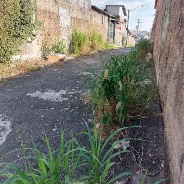 Imagem da publicação