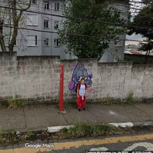 Imagem da publicação