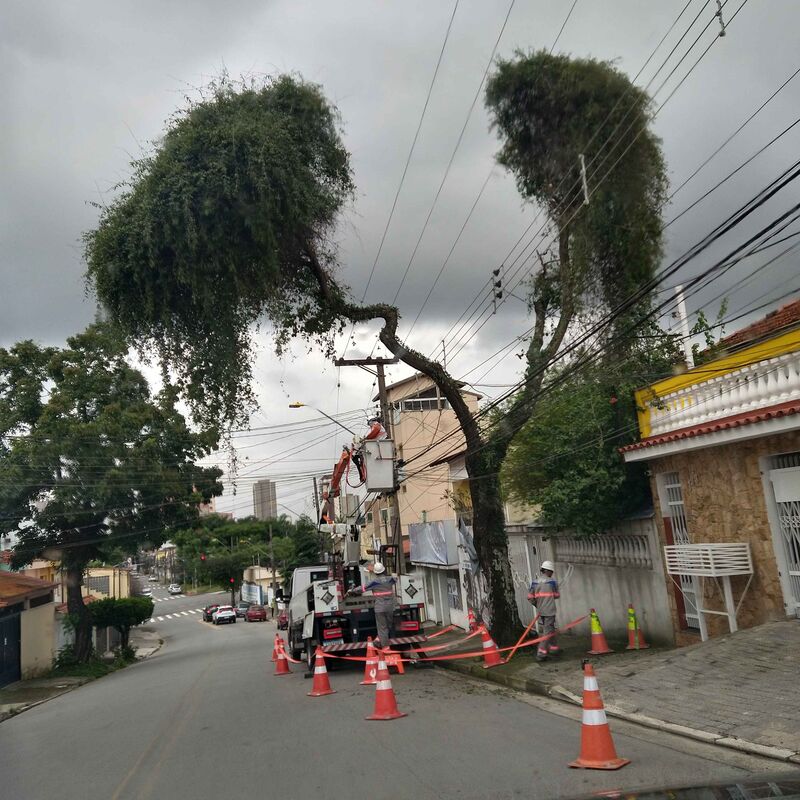 Imagem da publicação