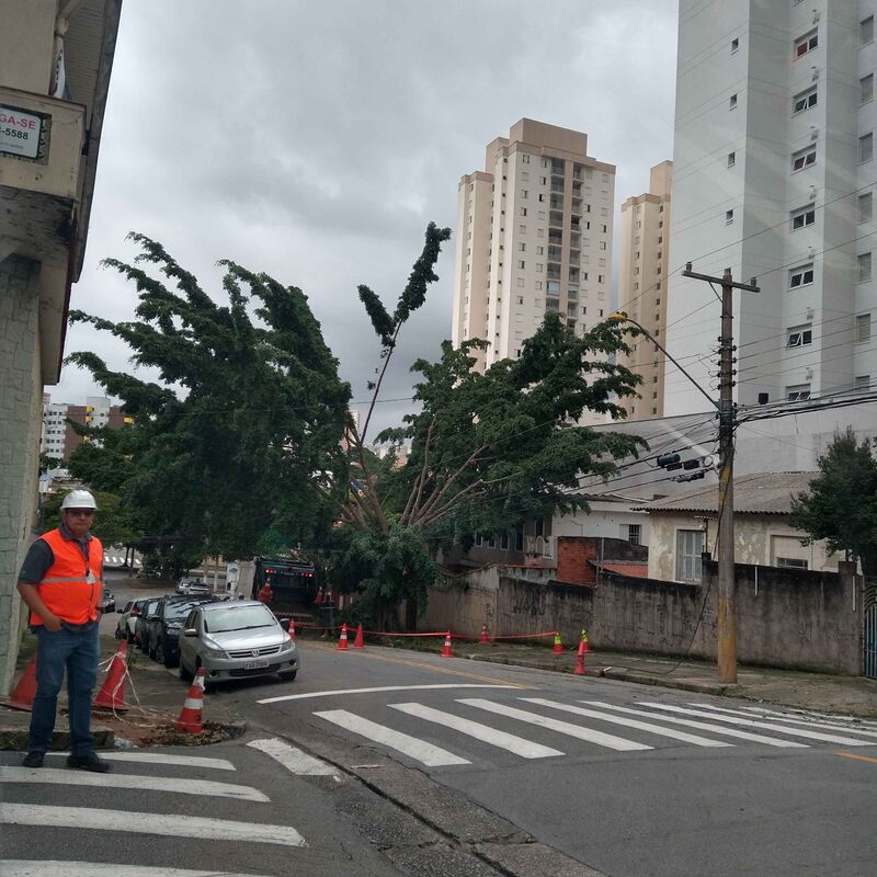 Imagem da publicação