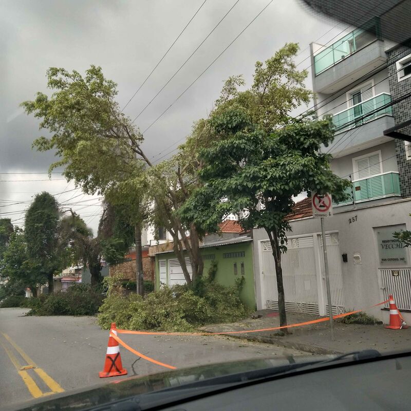 Imagem da publicação