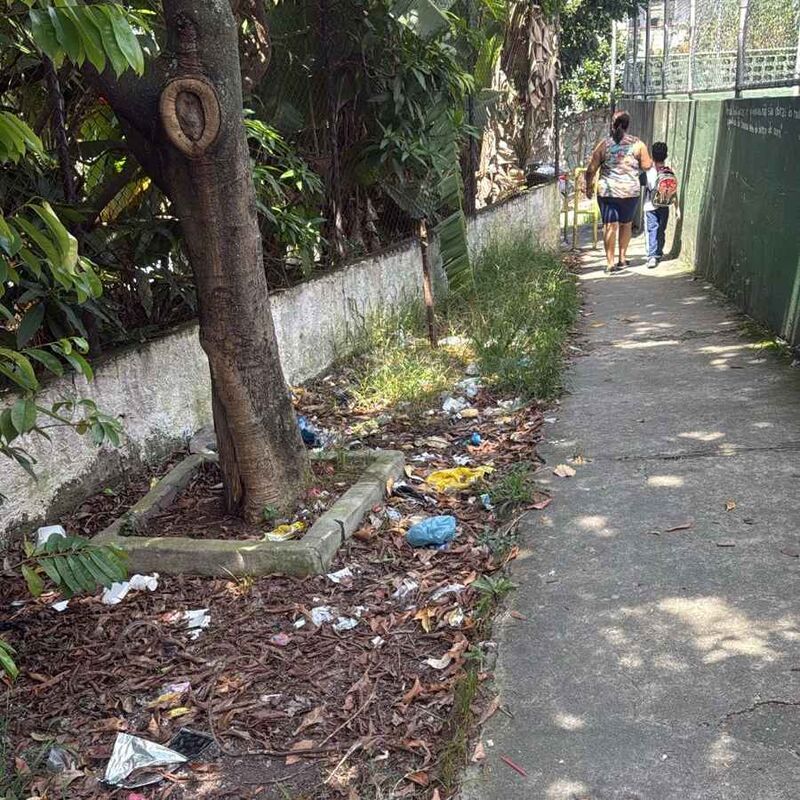 Imagem da publicação