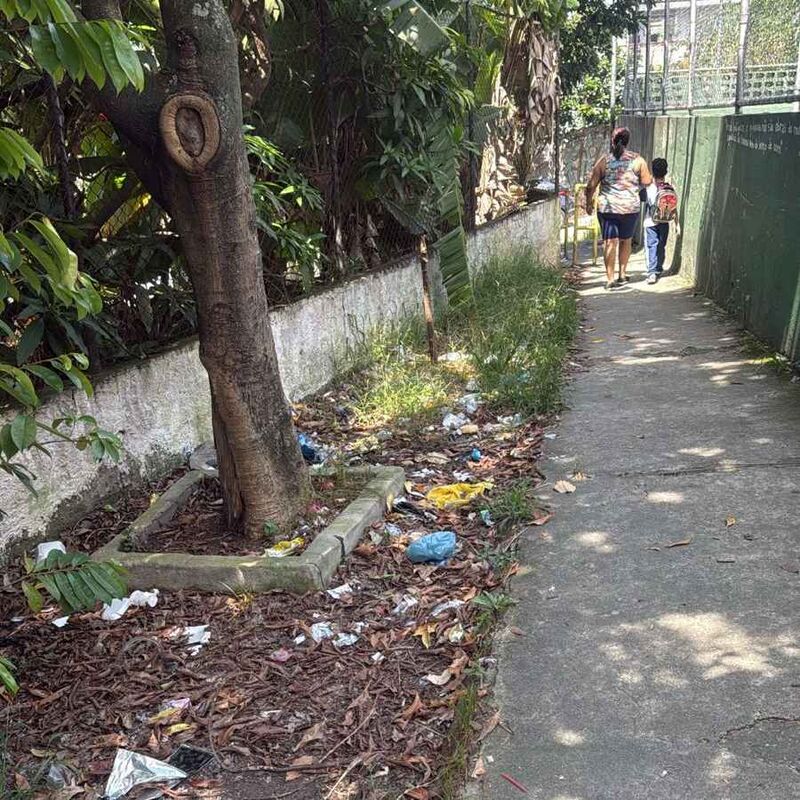 Imagem da publicação