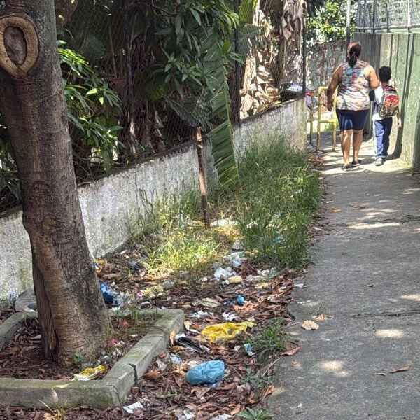 Imagem da publicação