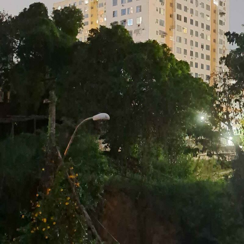 Imagem da publicação