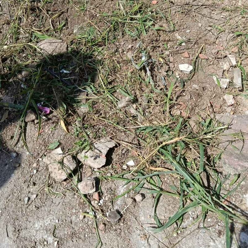 Imagem da publicação