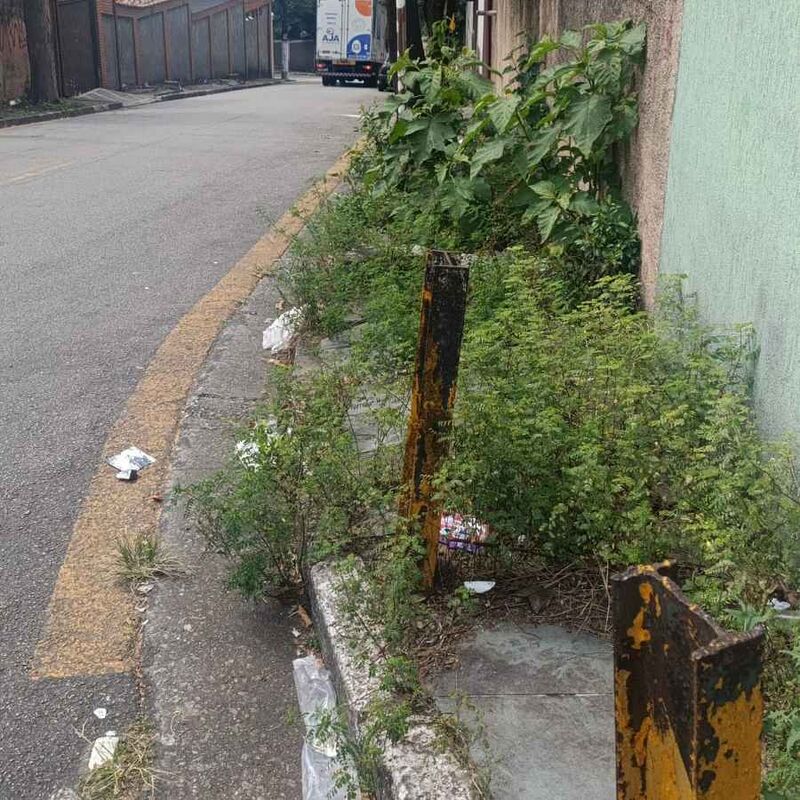 Imagem da publicação