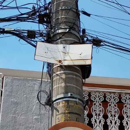 Imagem da publicação