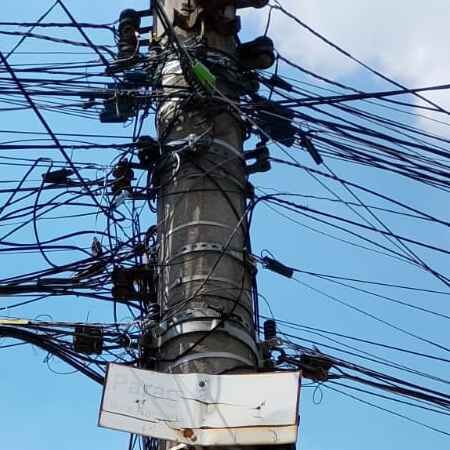 Imagem da publicação