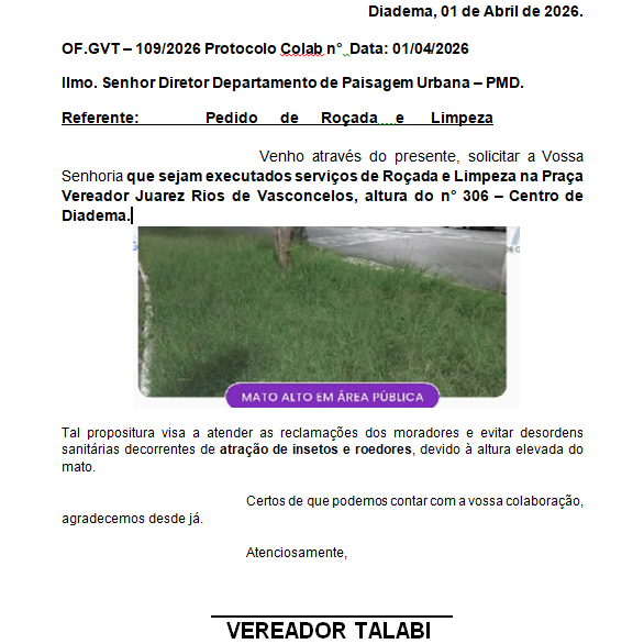 Imagem da publicação