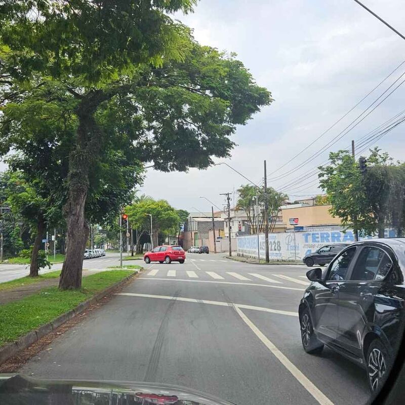 Imagem da publicação