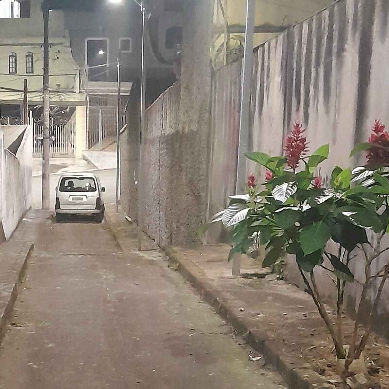 Imagem da publicação