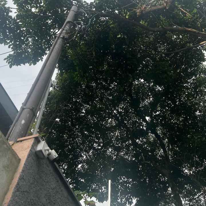 Imagem da publicação