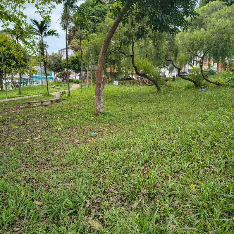 Imagem da publicação