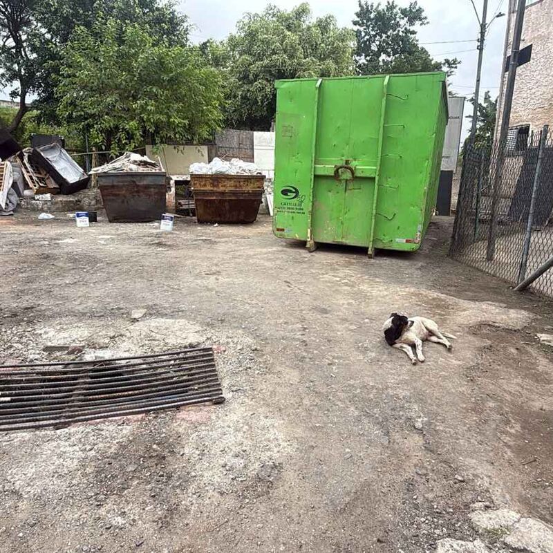 Imagem da publicação