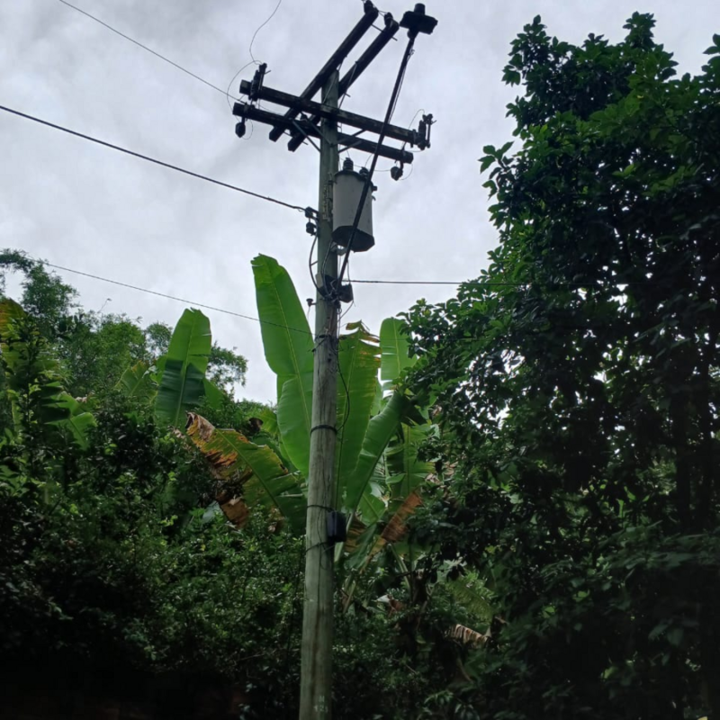 Imagem da publicação