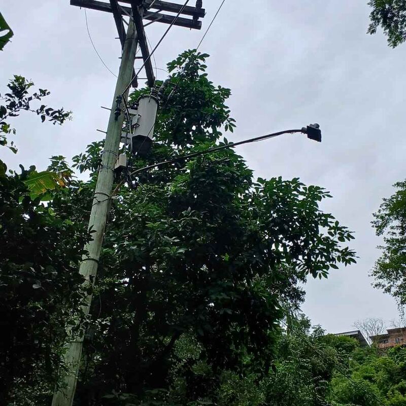 Imagem da publicação