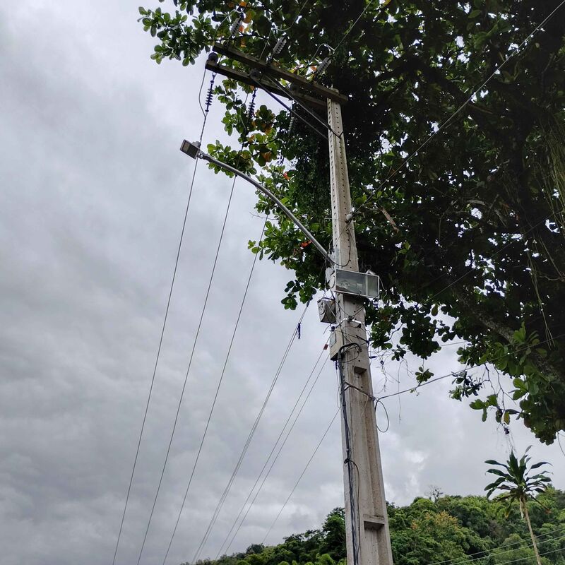 Imagem da publicação