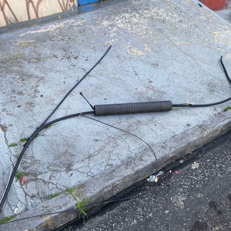 Imagem da publicação