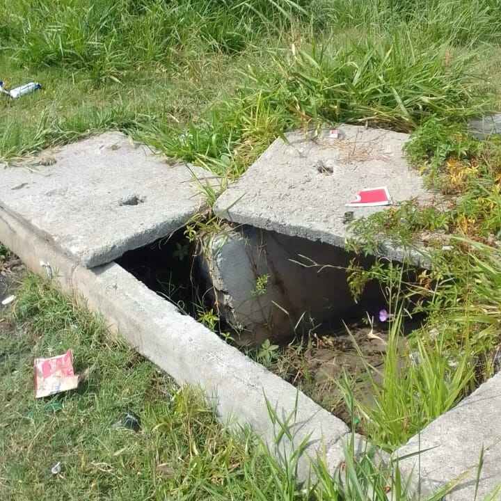 Imagem da publicação