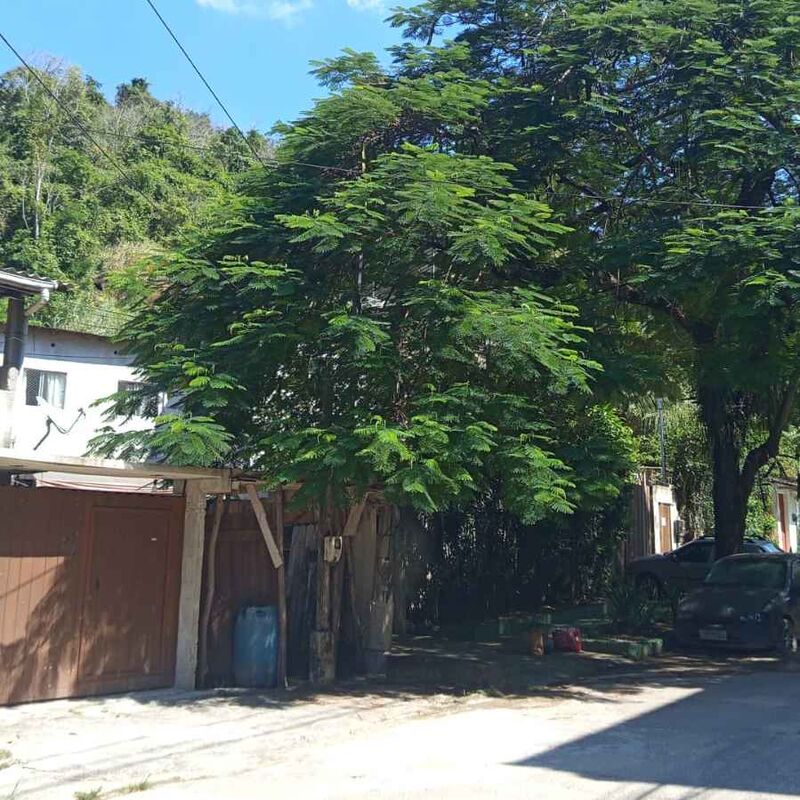 Imagem da publicação