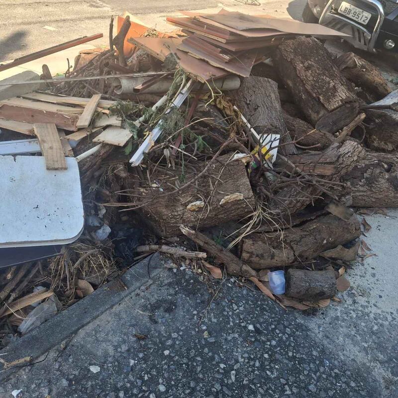 Imagem da publicação