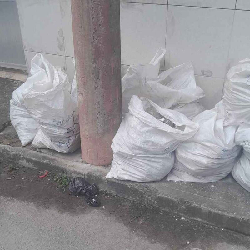 Imagem da publicação