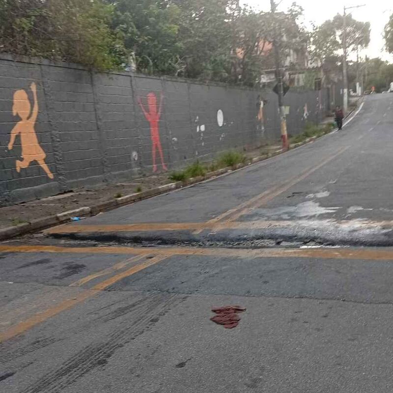 Imagem da publicação