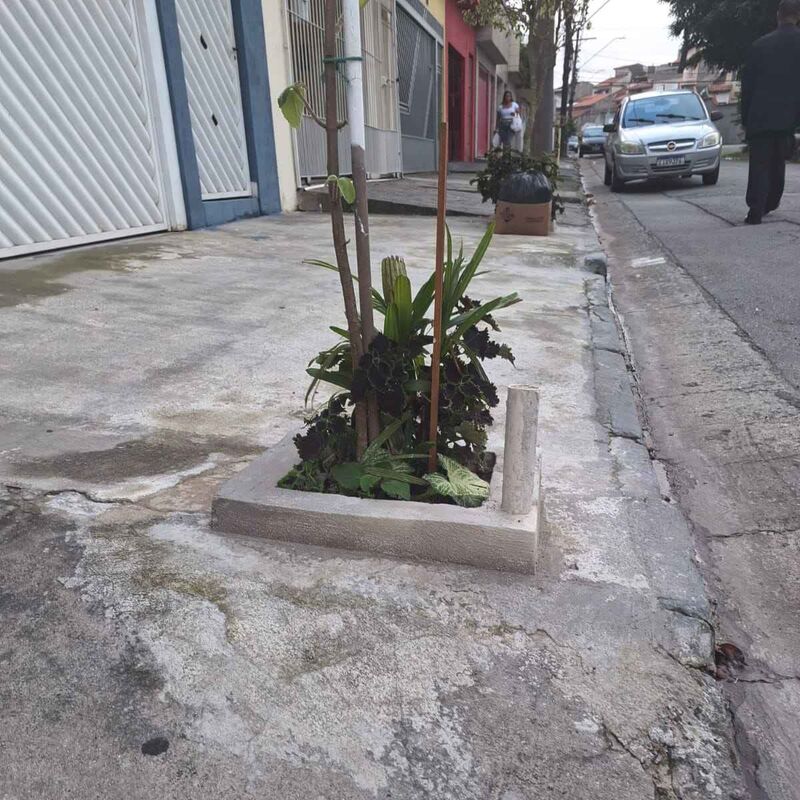 Imagem da publicação