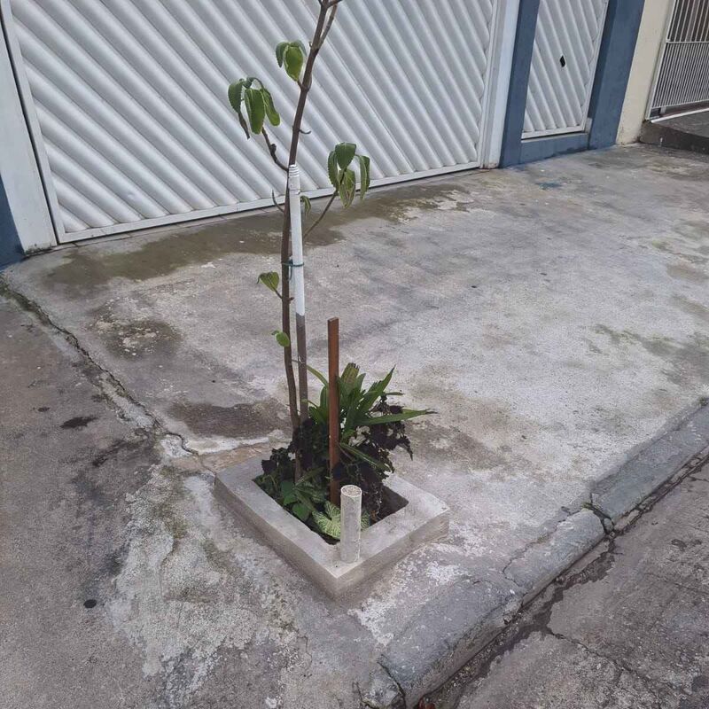 Imagem da publicação