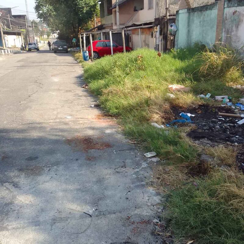 Imagem da publicação