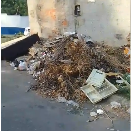 Imagem da publicação