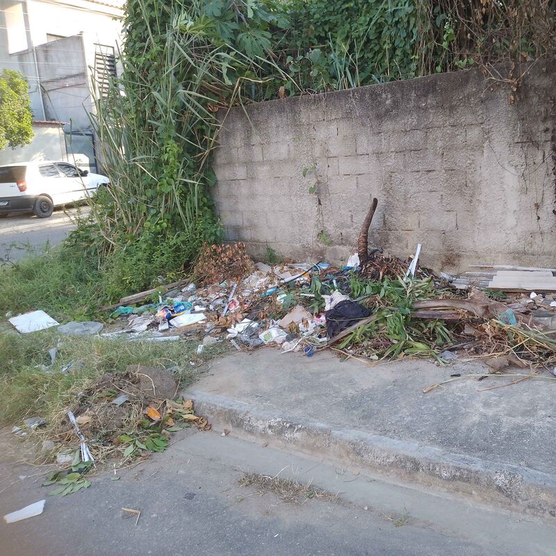 Imagem da publicação