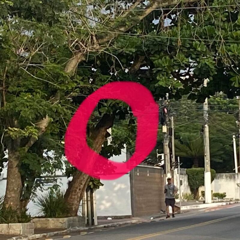 Imagem da publicação