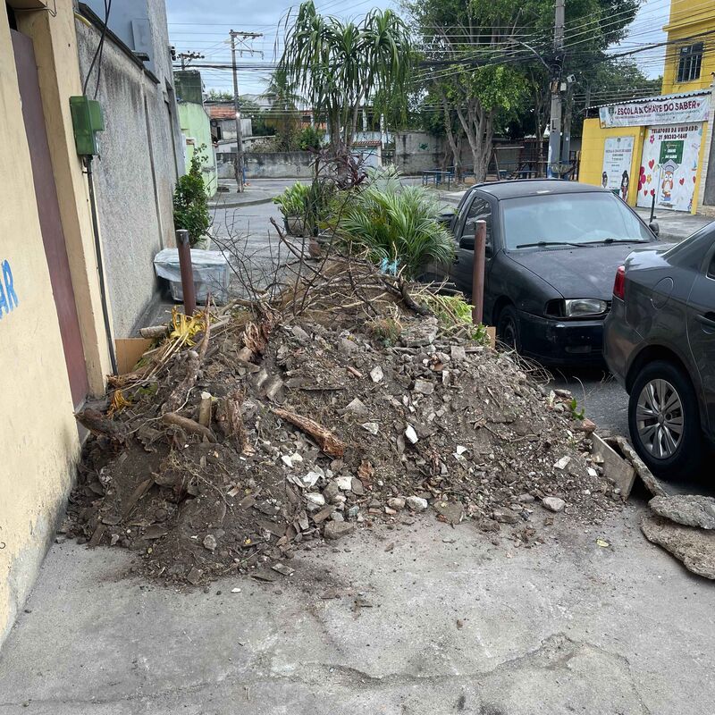 Imagem da publicação