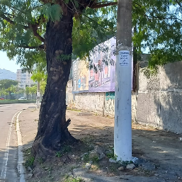 Imagem da publicação