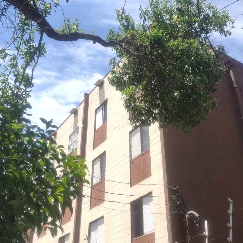 Imagem da publicação