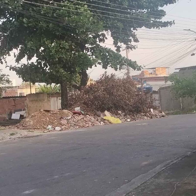 Imagem da publicação