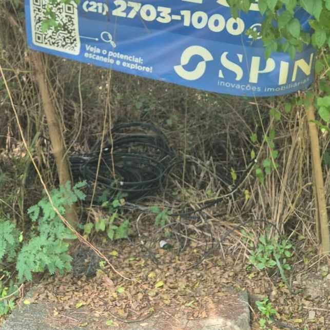 Imagem da publicação