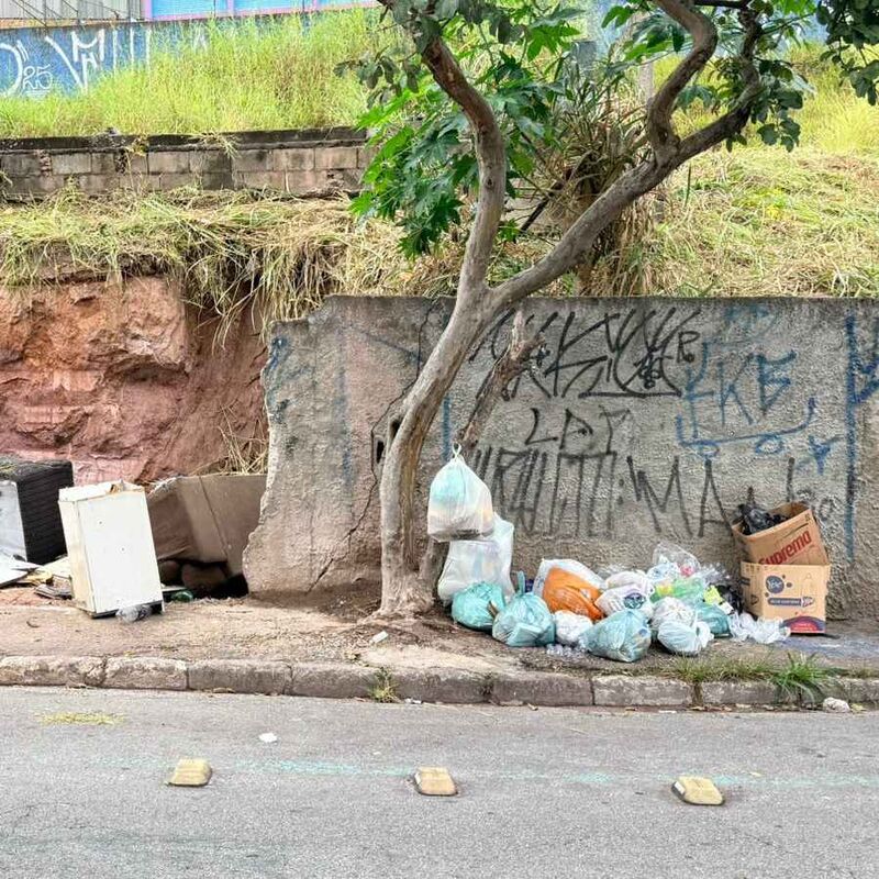 Imagem da publicação