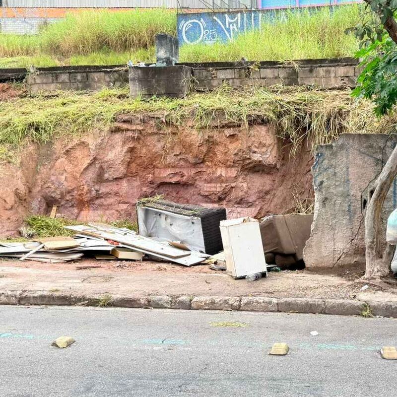 Imagem da publicação