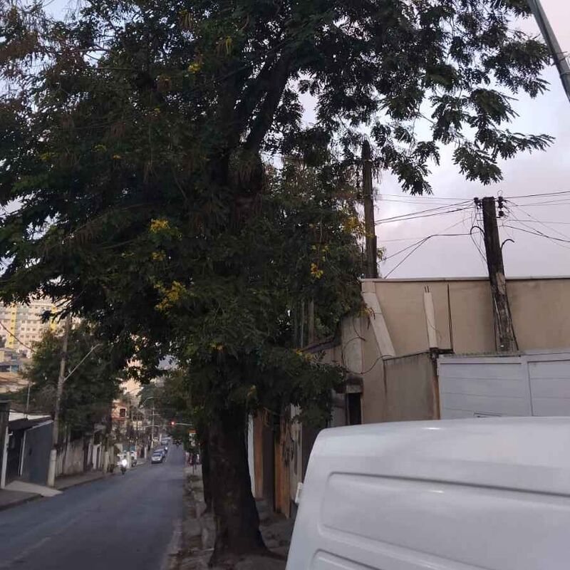 Imagem da publicação