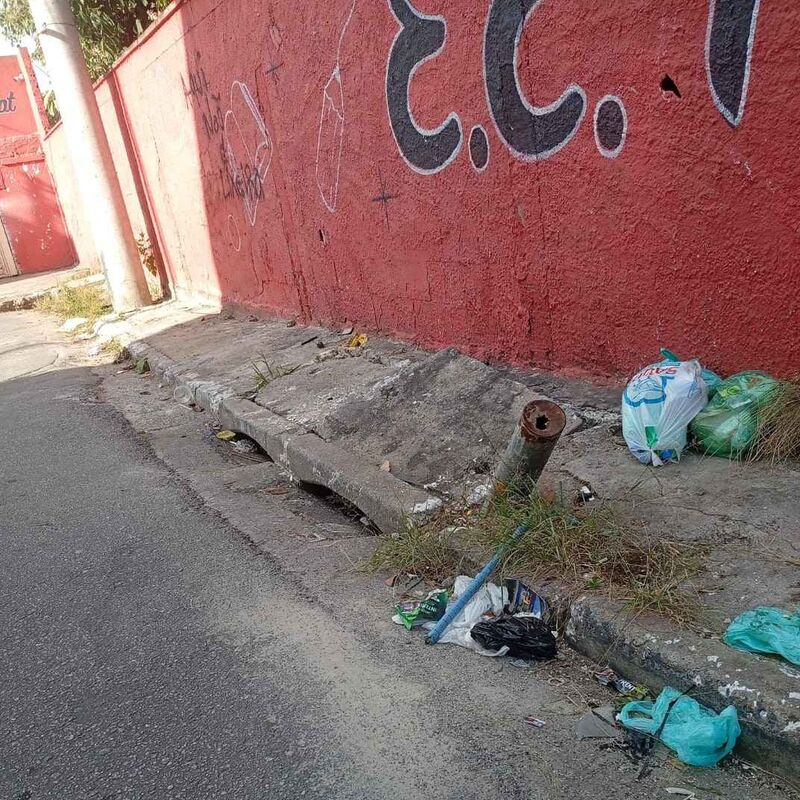 Imagem da publicação