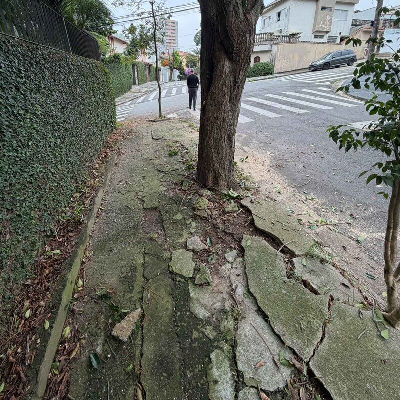 Imagem da publicação