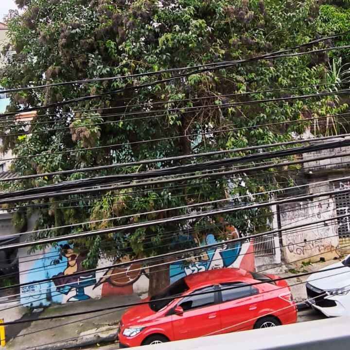 Imagem da publicação